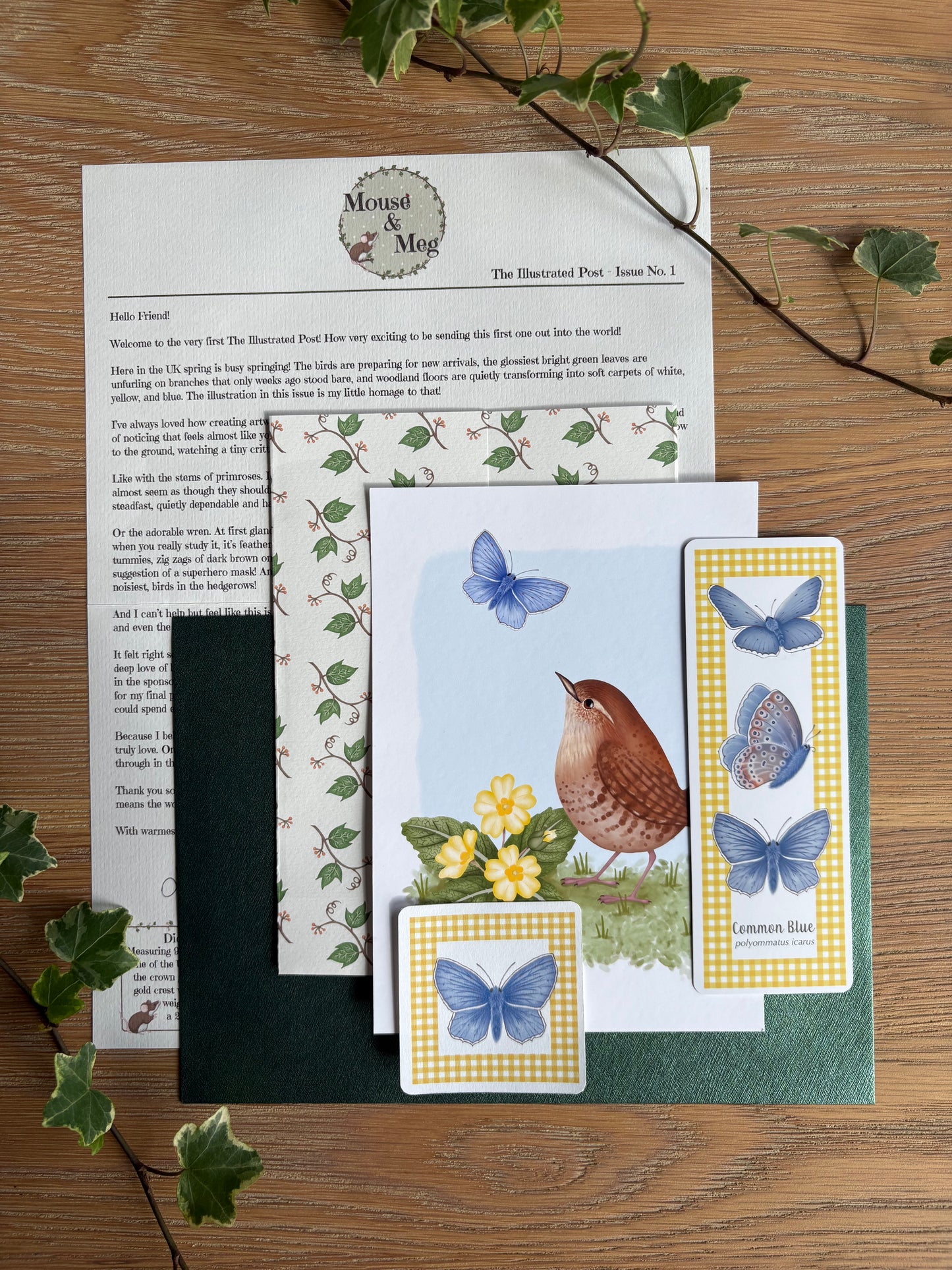 The Illustrated Post from Mouse & Meg